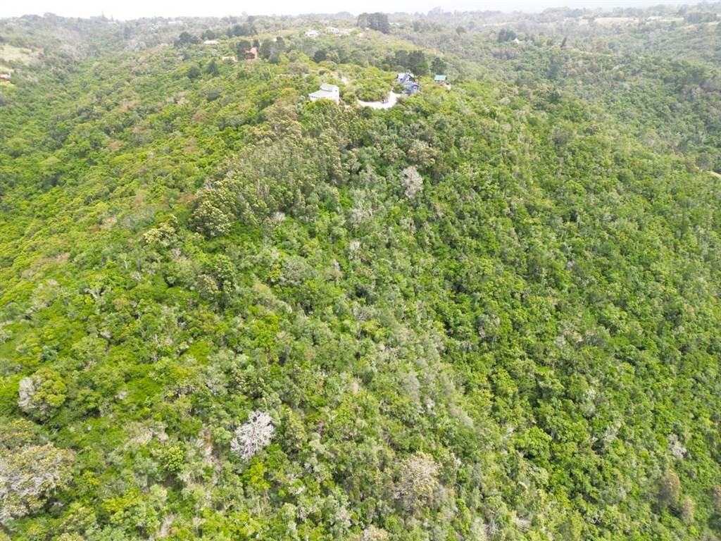 6.3 ha Land available in Wilderness Heights photo number 5