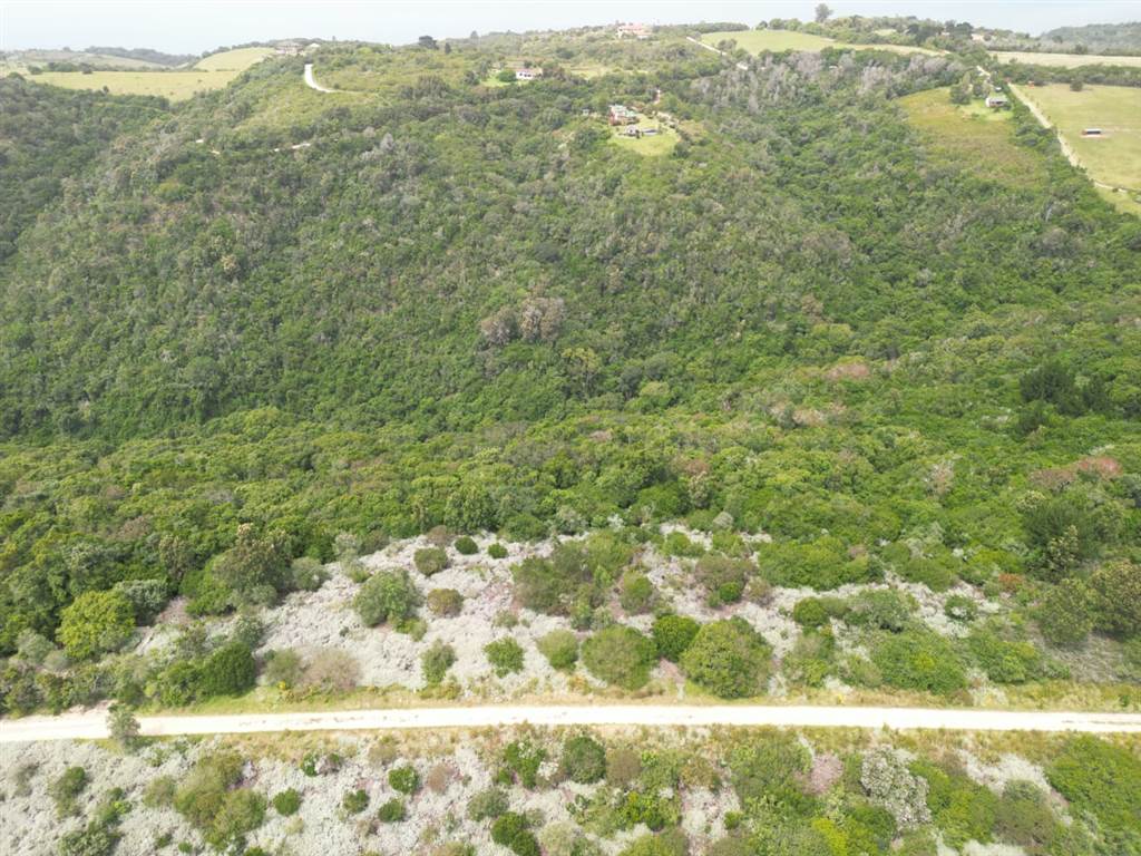 6.3 ha Land available in Wilderness Heights photo number 7