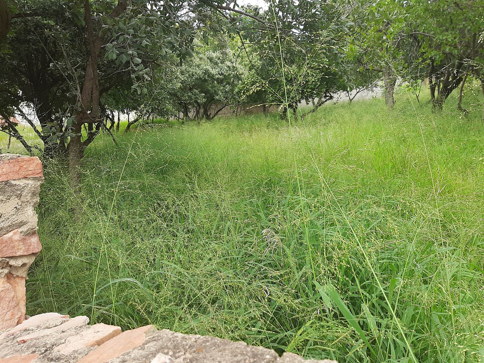 750 m² Land available in Cashan photo number 4