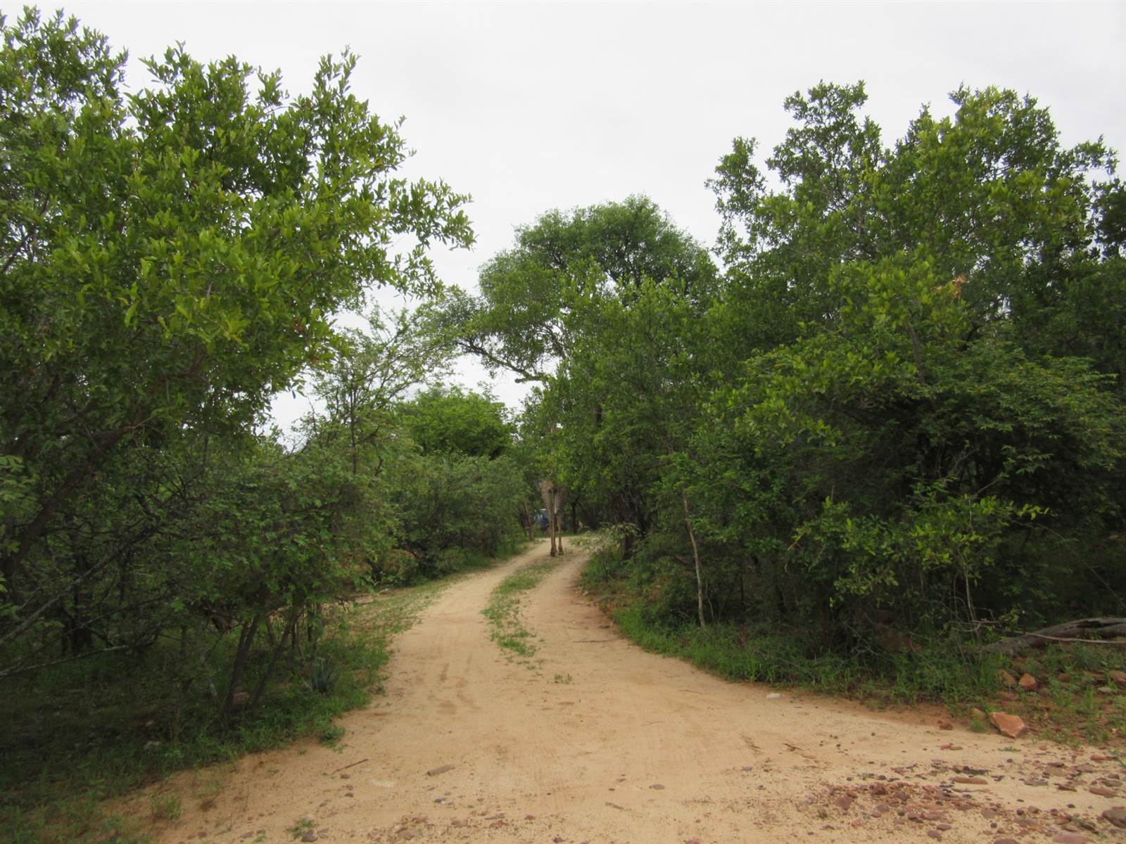 1 ha Land available in Hoedspruit photo number 5
