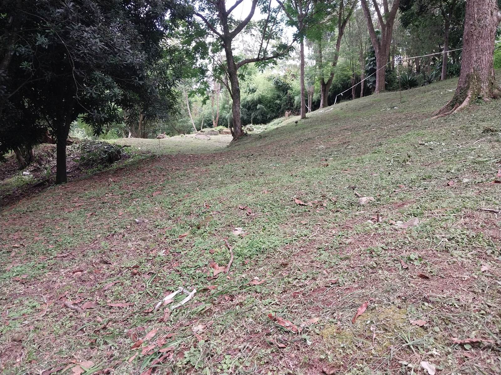 2387 m² Land available in Hillcrest Central photo number 23