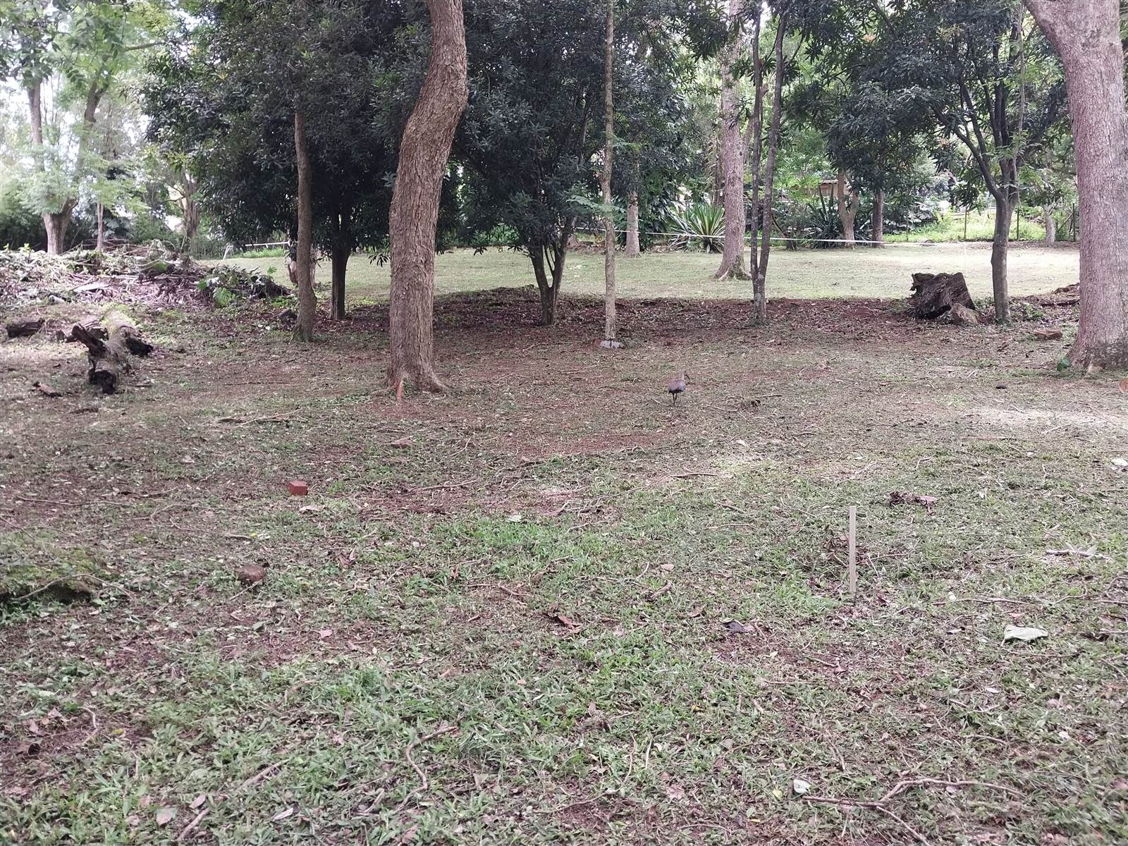 2387 m² Land available in Hillcrest Central photo number 1