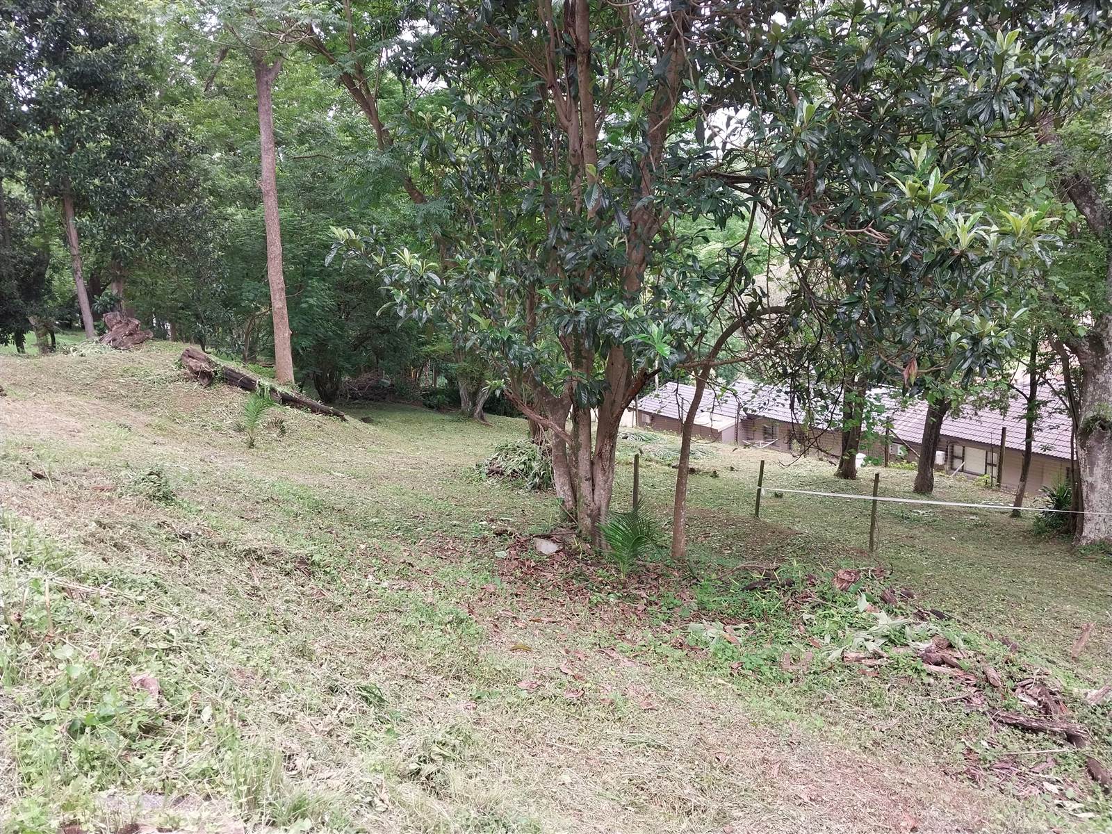 2387 m² Land available in Hillcrest Central photo number 11