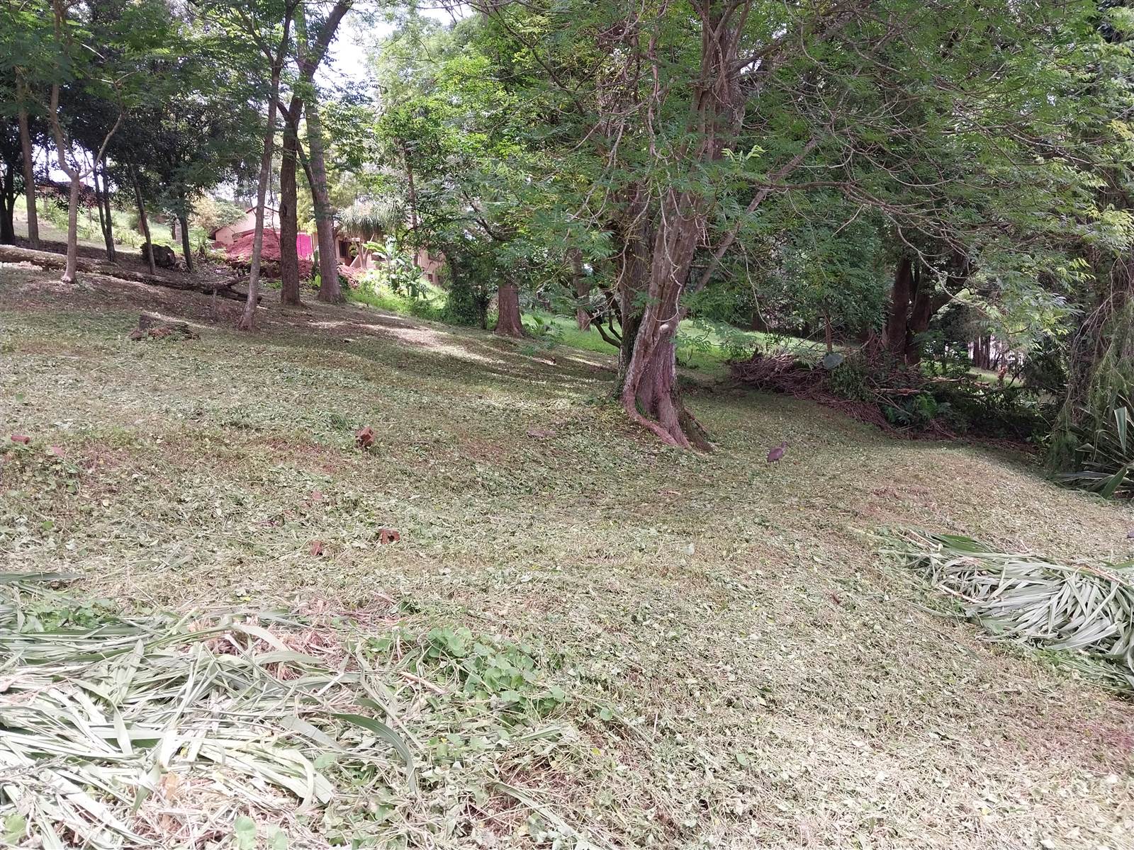 2387 m² Land available in Hillcrest Central photo number 19