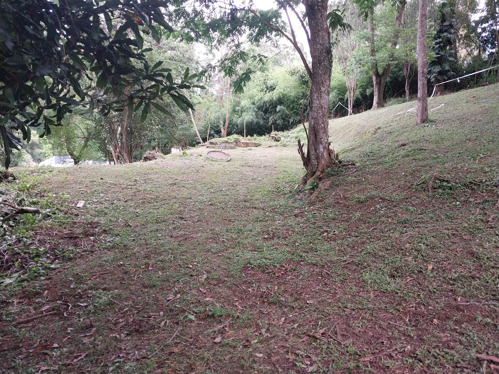 2387 m² Land available in Hillcrest Central photo number 4