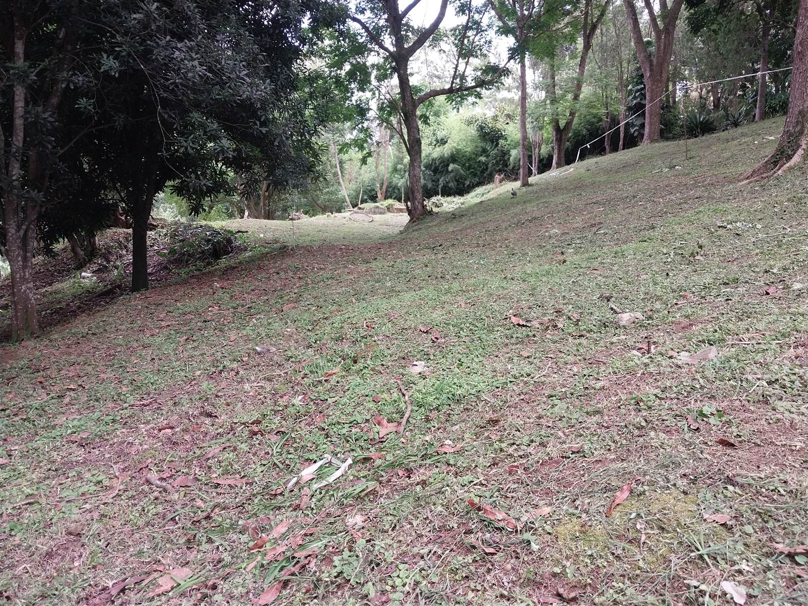 2387 m² Land available in Hillcrest Central photo number 22