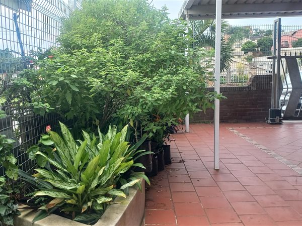929 m² Land 929 m² Land