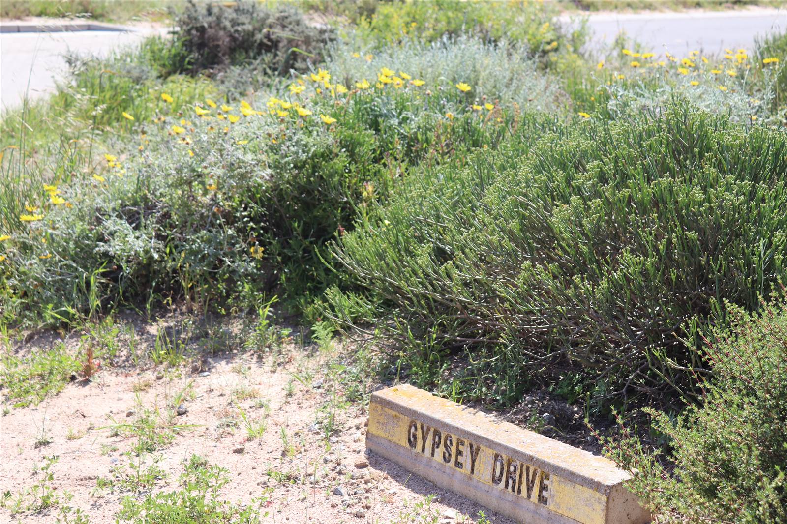 268 m² Land for sale in St Helena Bay T4789717 Private Property