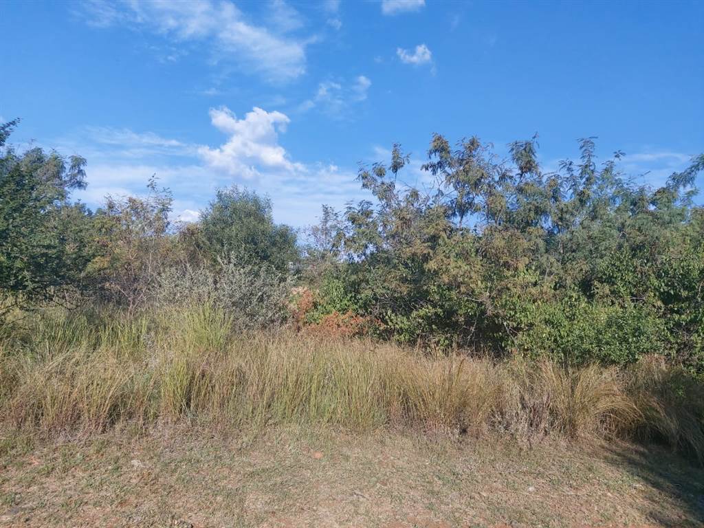 915 m² Land available in Seasons Lifestyle Estate photo number 3