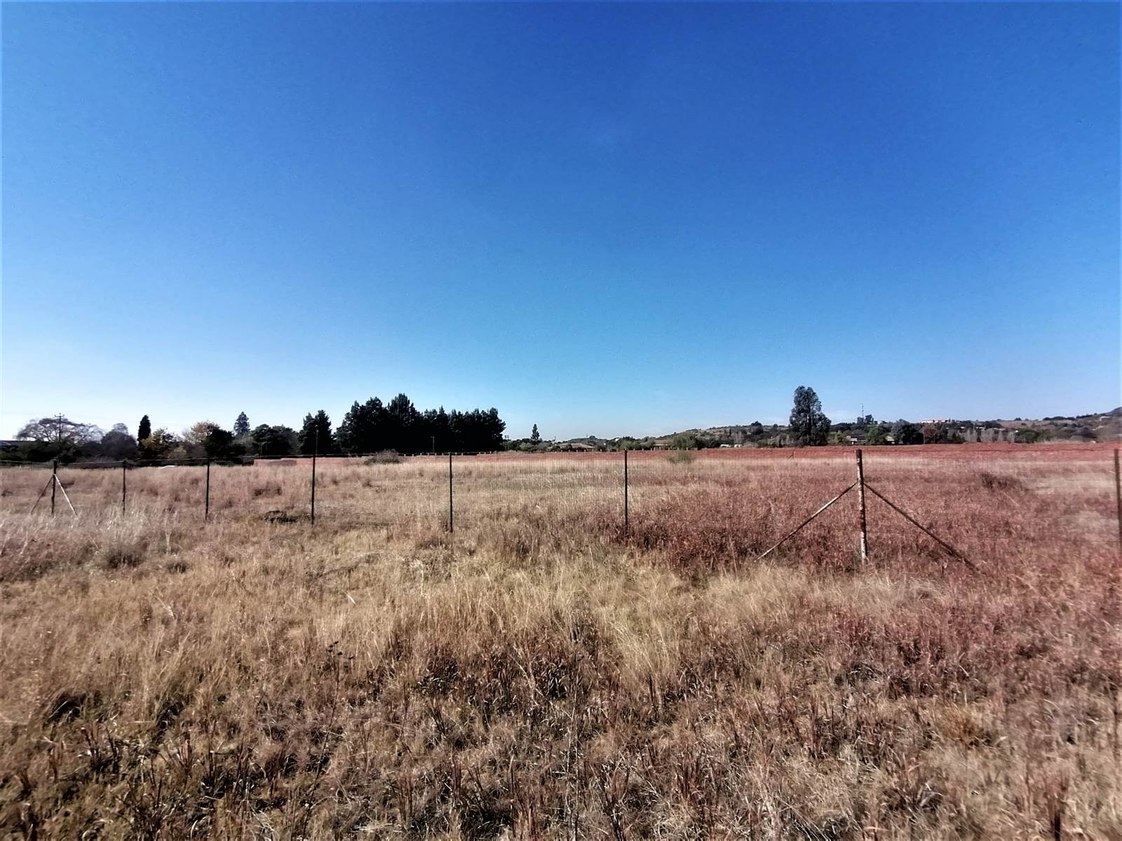 1 ha Land available in Blue Saddle Ranches photo number 4