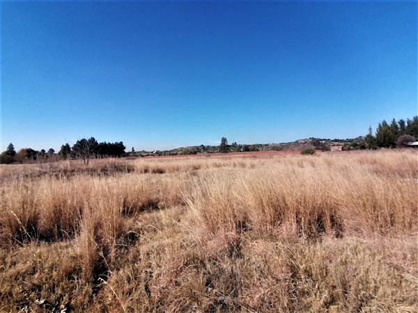 1 ha Land available in Blue Saddle Ranches