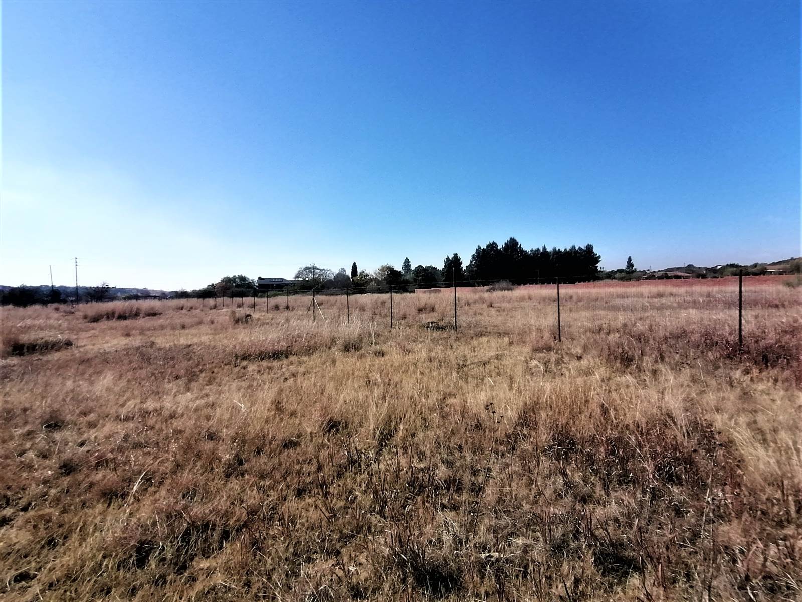 1 ha Land available in Blue Saddle Ranches photo number 5