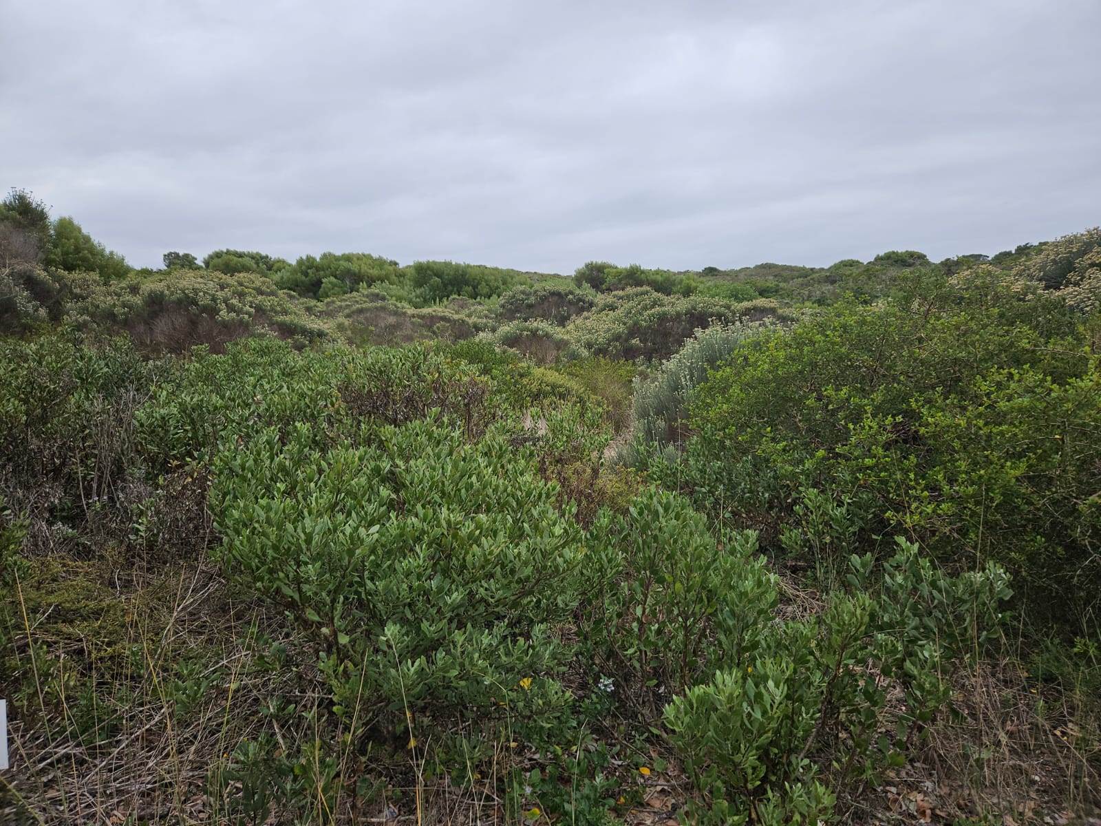663 m² Land available in Stilbaai photo number 11