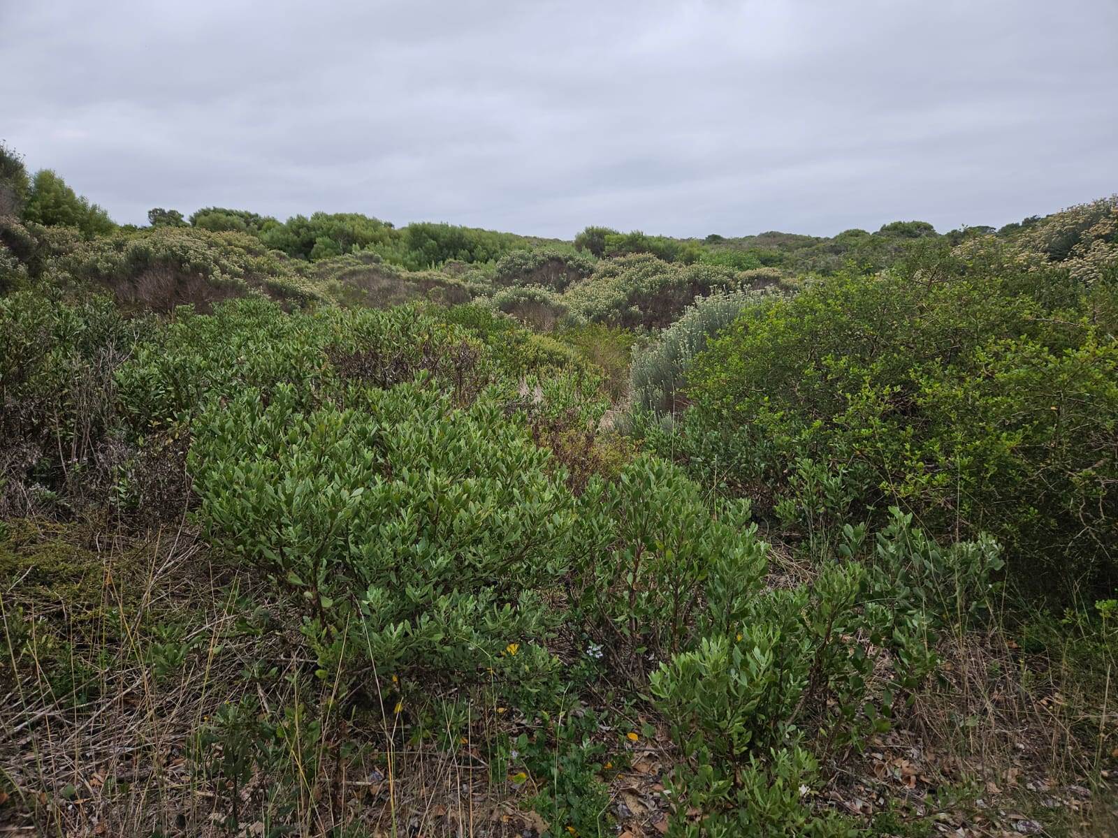 663 m² Land available in Stilbaai photo number 15