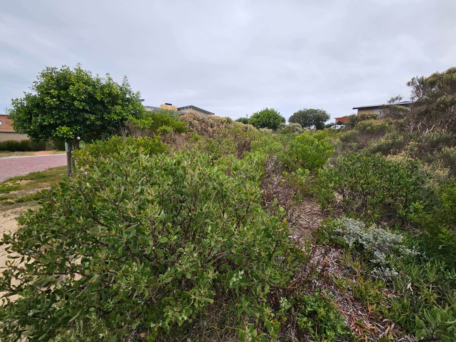 663 m² Land available in Stilbaai photo number 4