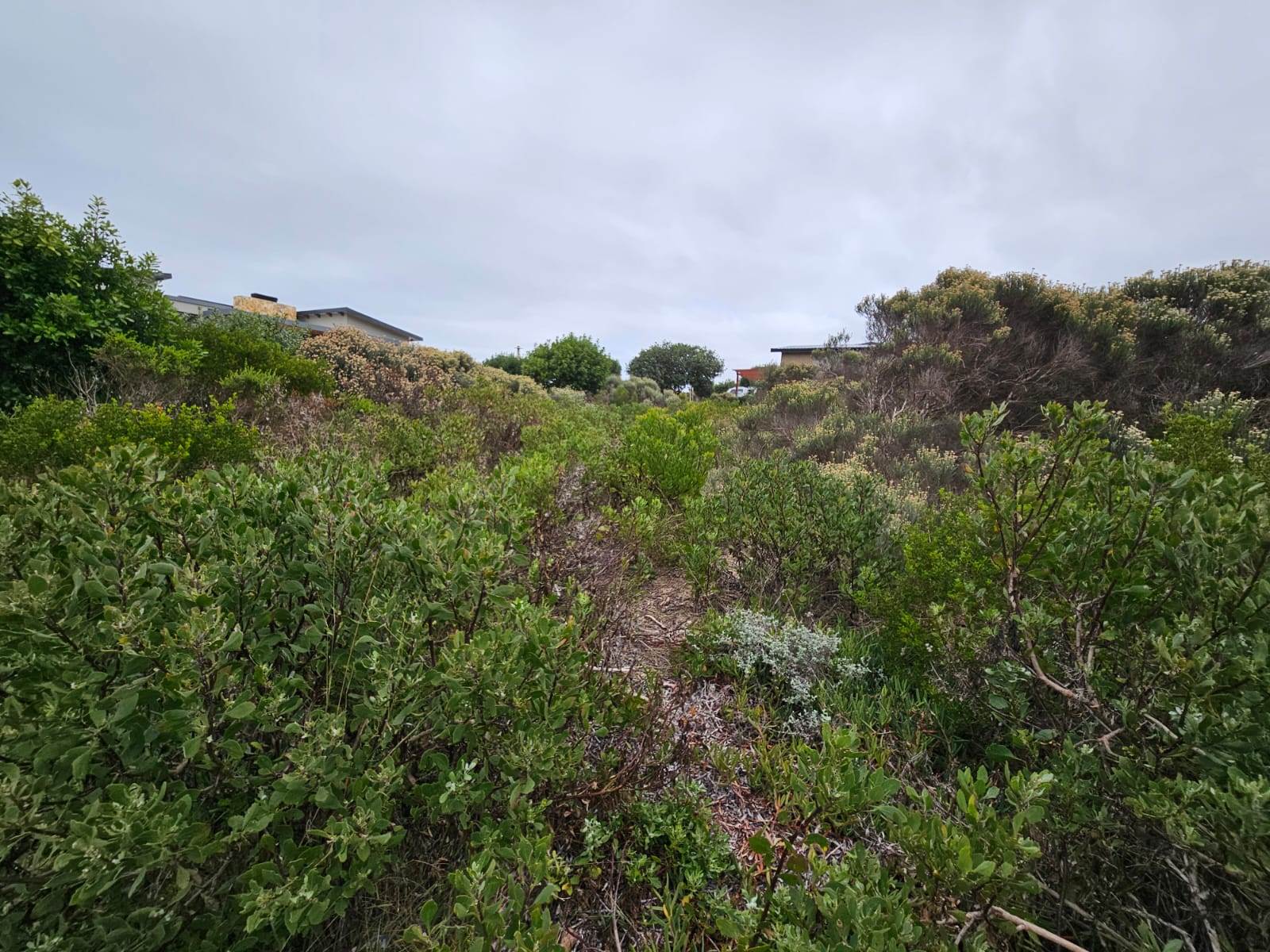 663 m² Land available in Stilbaai photo number 2