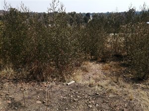 1039 m² Land available in Ohenimuri
