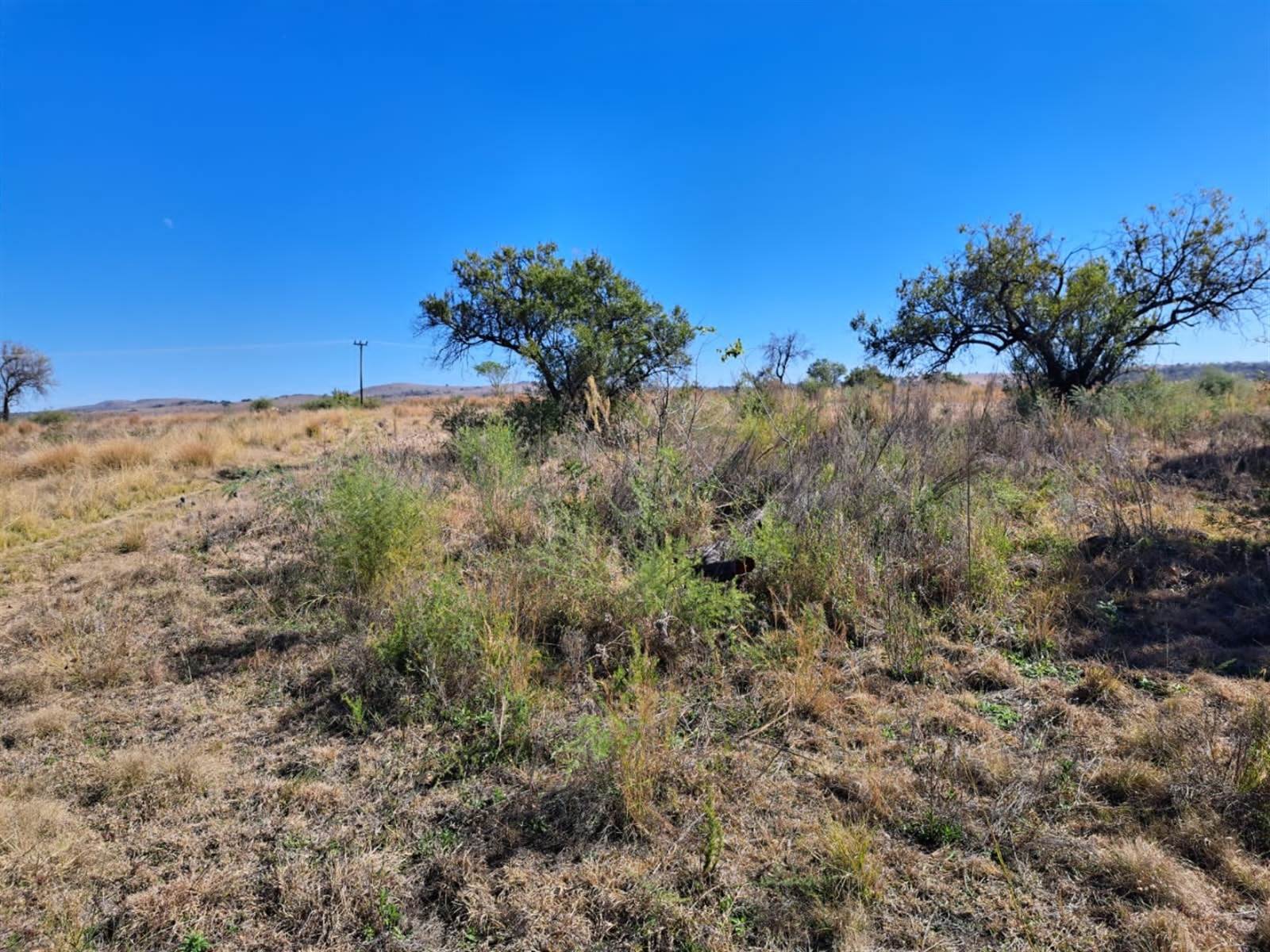 5000 m² Land available in Krugersdorp Central photo number 17