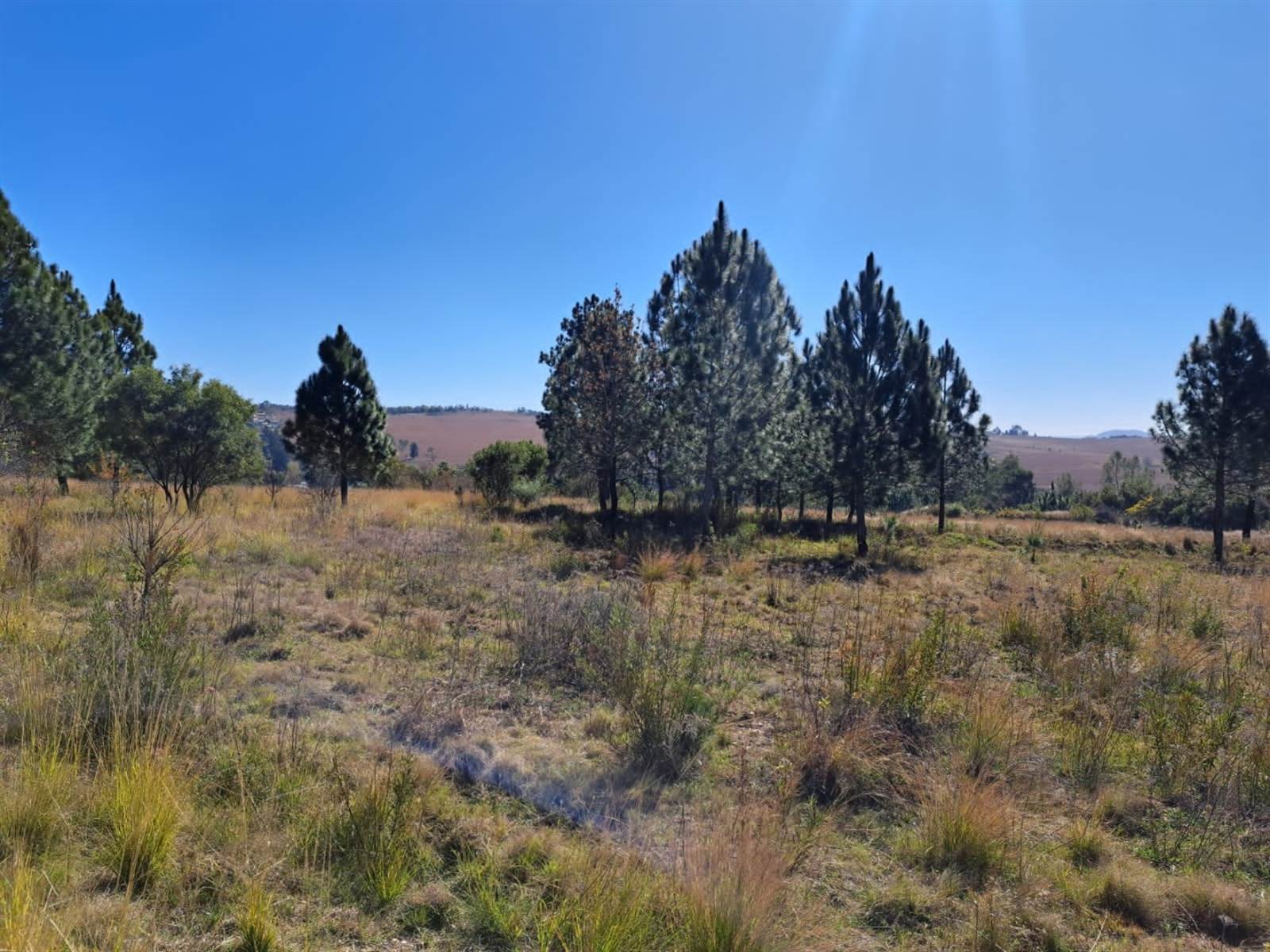 5000 m² Land available in Krugersdorp Central photo number 13