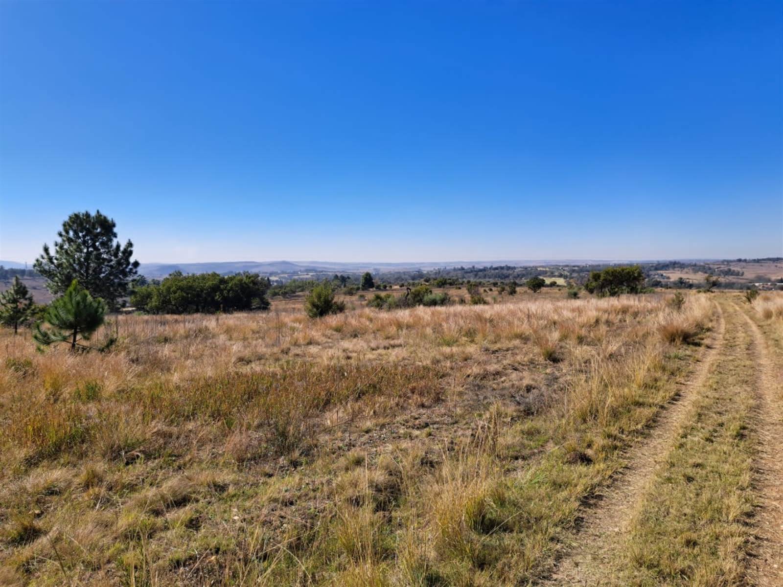 5000 m² Land available in Krugersdorp Central photo number 3