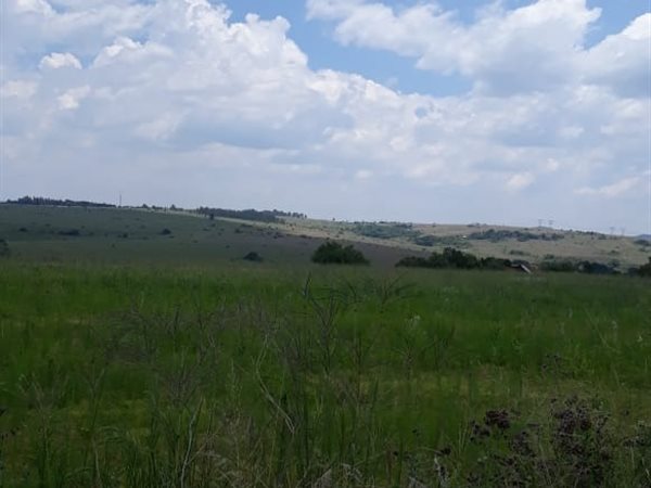 5000 m² Land available in Krugersdorp Central