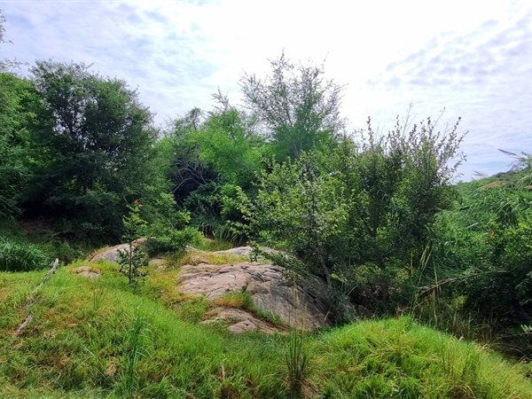 2 498 m² Land 2 498 m² Land