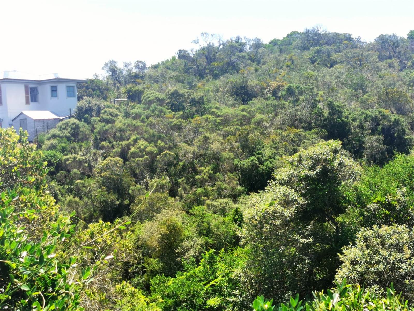 1105 m² Land available in Cola Beach photo number 1