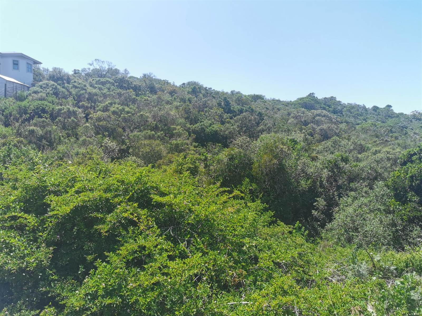 1105 m² Land available in Cola Beach photo number 2