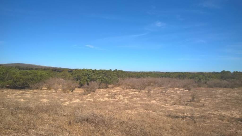2.8 ha Land available in Long Acres photo number 2