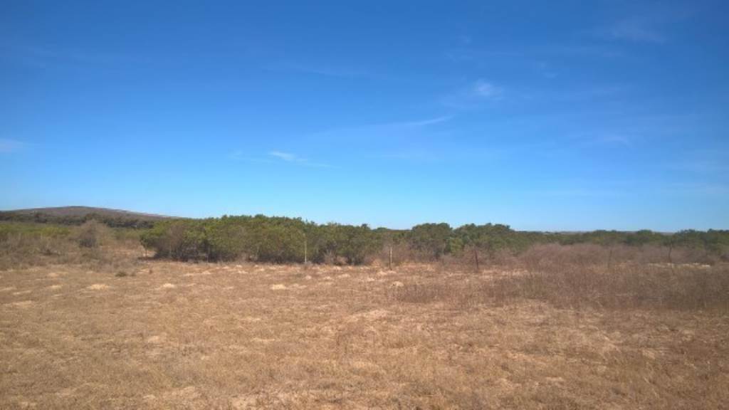 2.8 ha Land available in Long Acres photo number 3