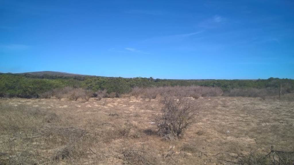 2.8 ha Land available in Long Acres photo number 4