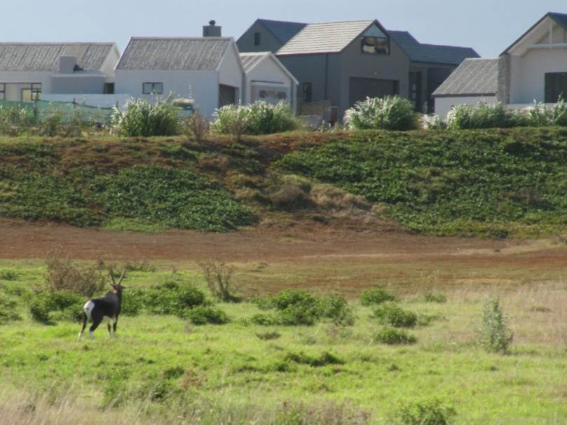493 m² Land available in Hartenbos photo number 12
