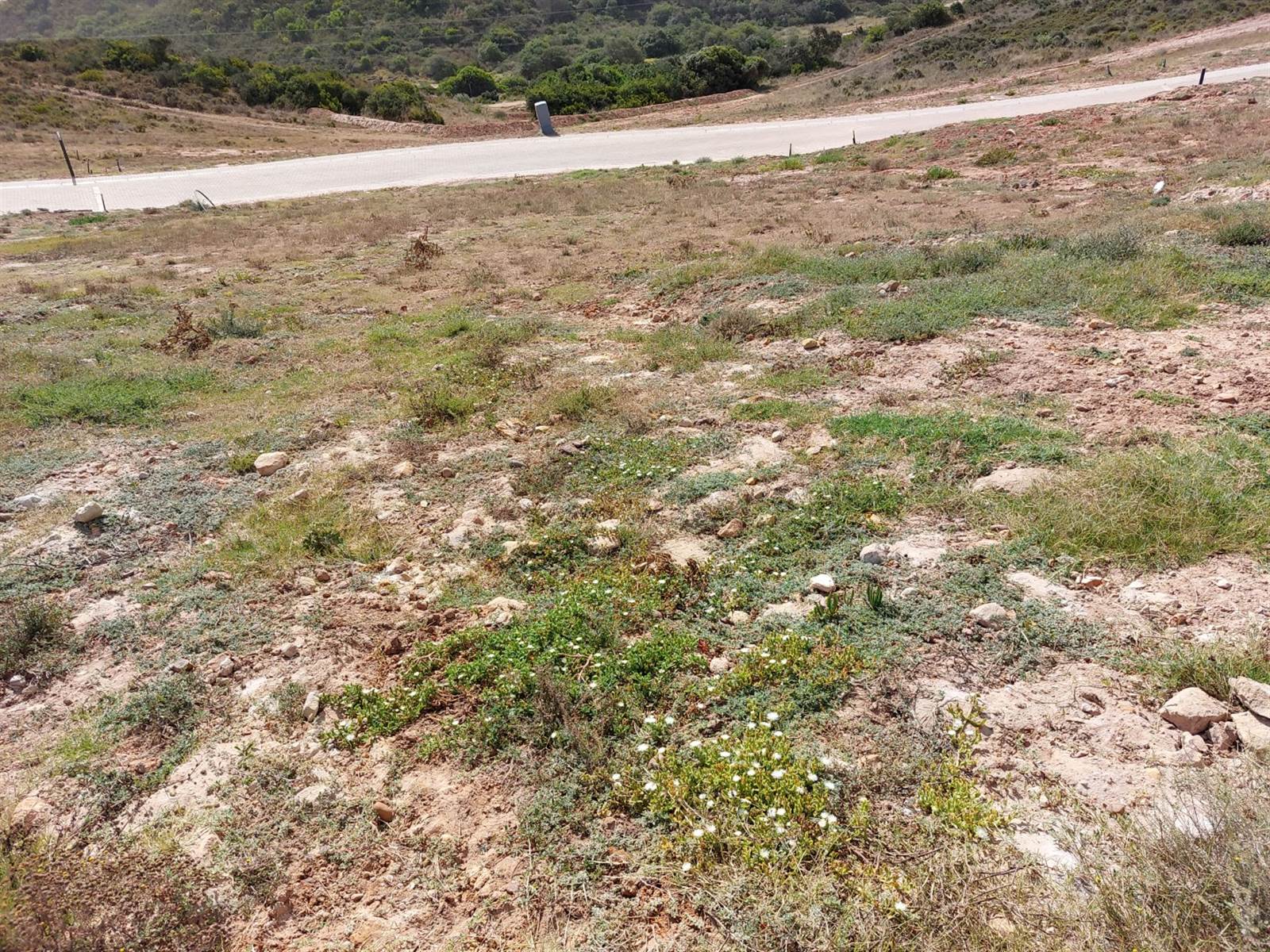 493 m² Land available in Hartenbos photo number 3