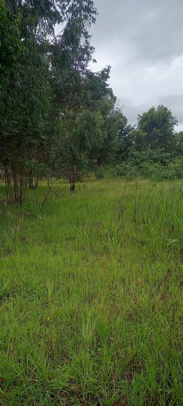 1023 m² Land available in Himeville photo number 8