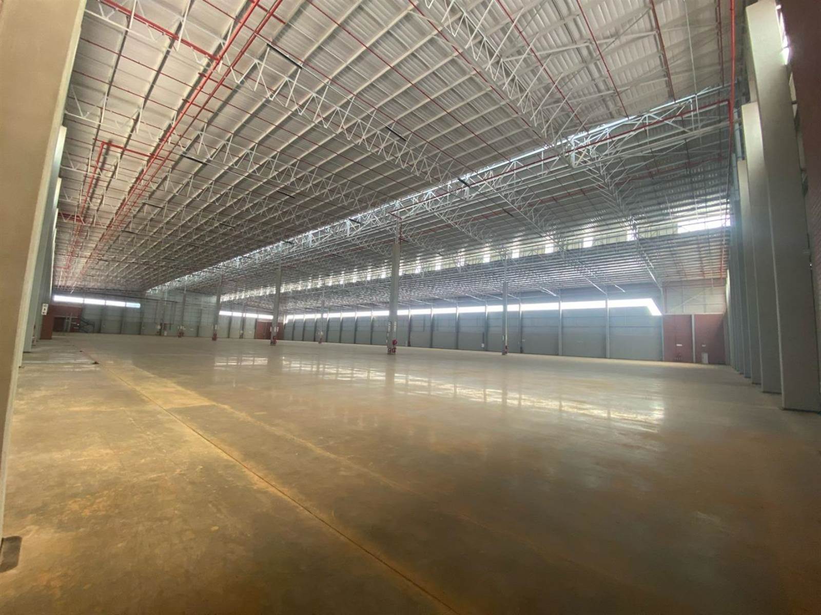 20723  m² Industrial space in Louwlardia photo number 18