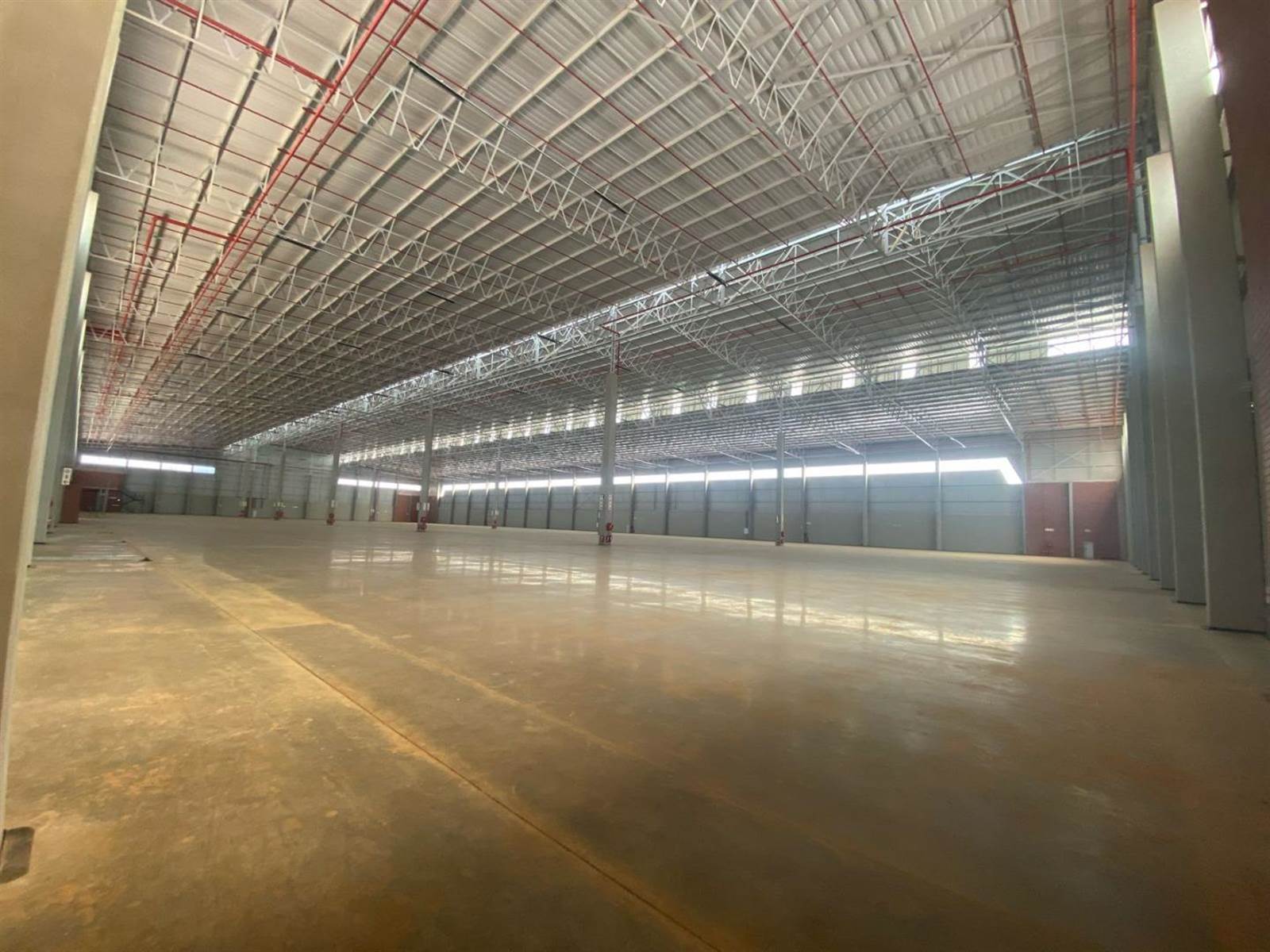 20723  m² Industrial space in Louwlardia photo number 9