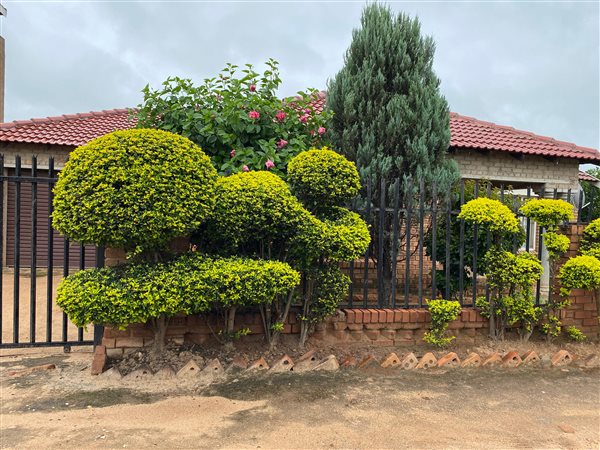 3 Bedroom House 3 Bedroom House
