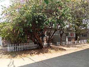 Apartment in Bela-Bela (Warmbaths)