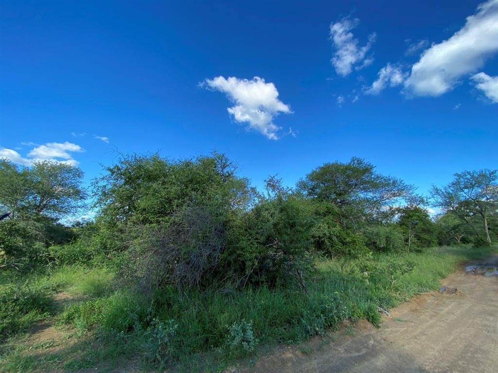 9305 m² Land available in Moditlo Nature Reserve photo number 8