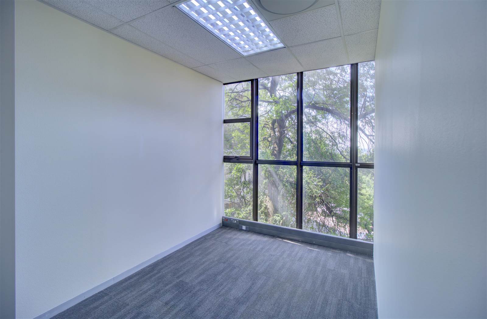 1592  m² Commercial space in Constantia Kloof photo number 25