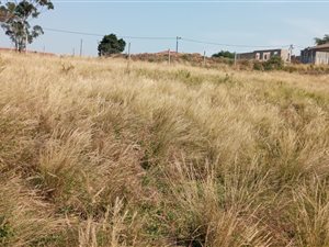 900 m² Land available in Umbumbulu