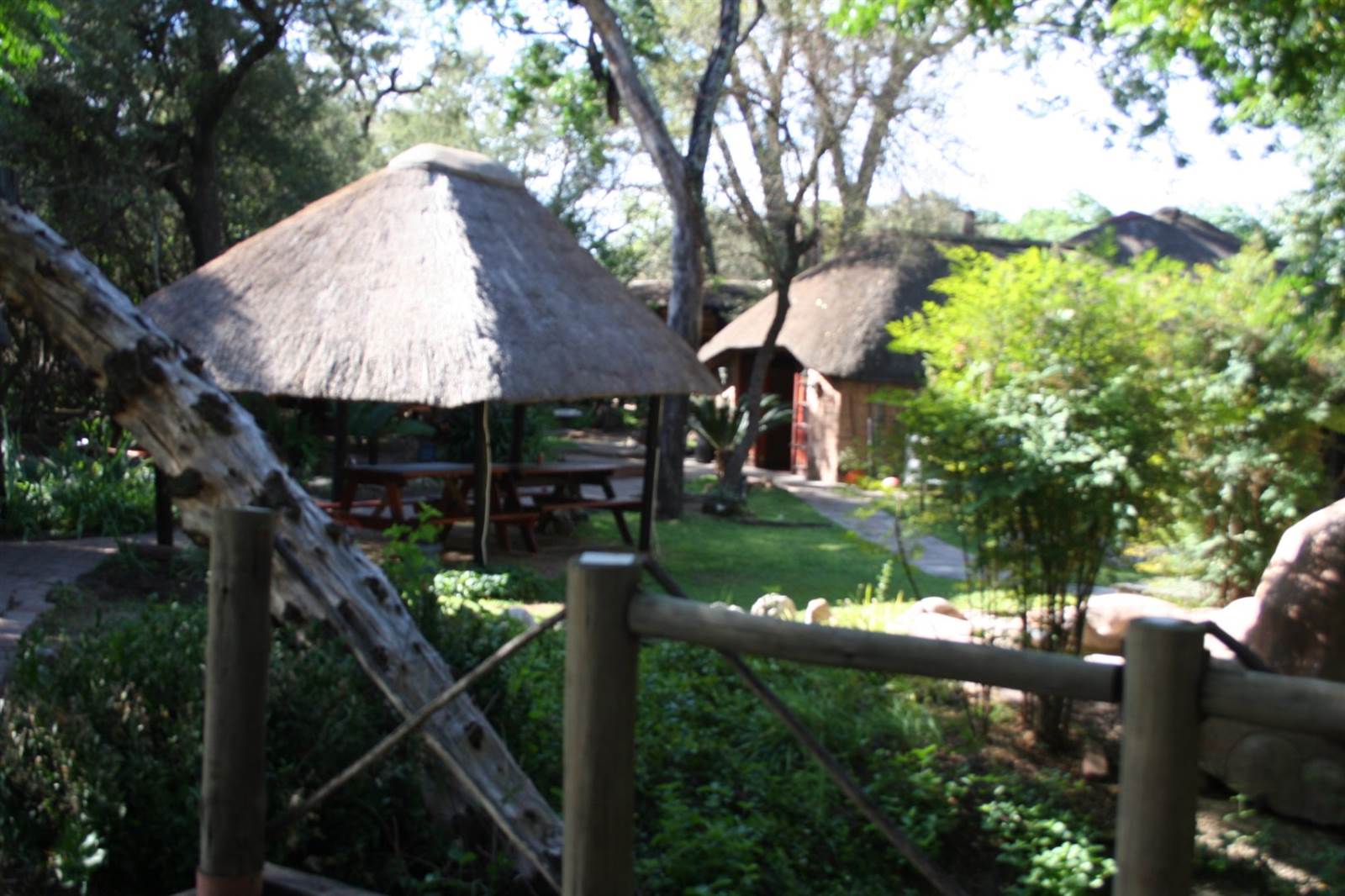 4 ha Smallholding in Polokwane Central photo number 24
