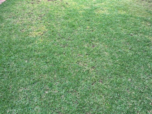 4 653 m² Land 4 653 m² Land