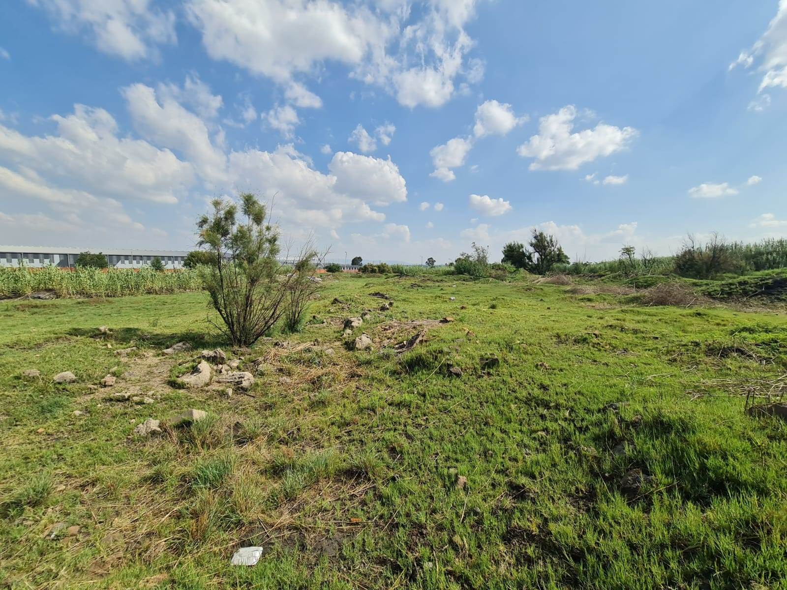 9.8 ha Land available in Wadeville photo number 13