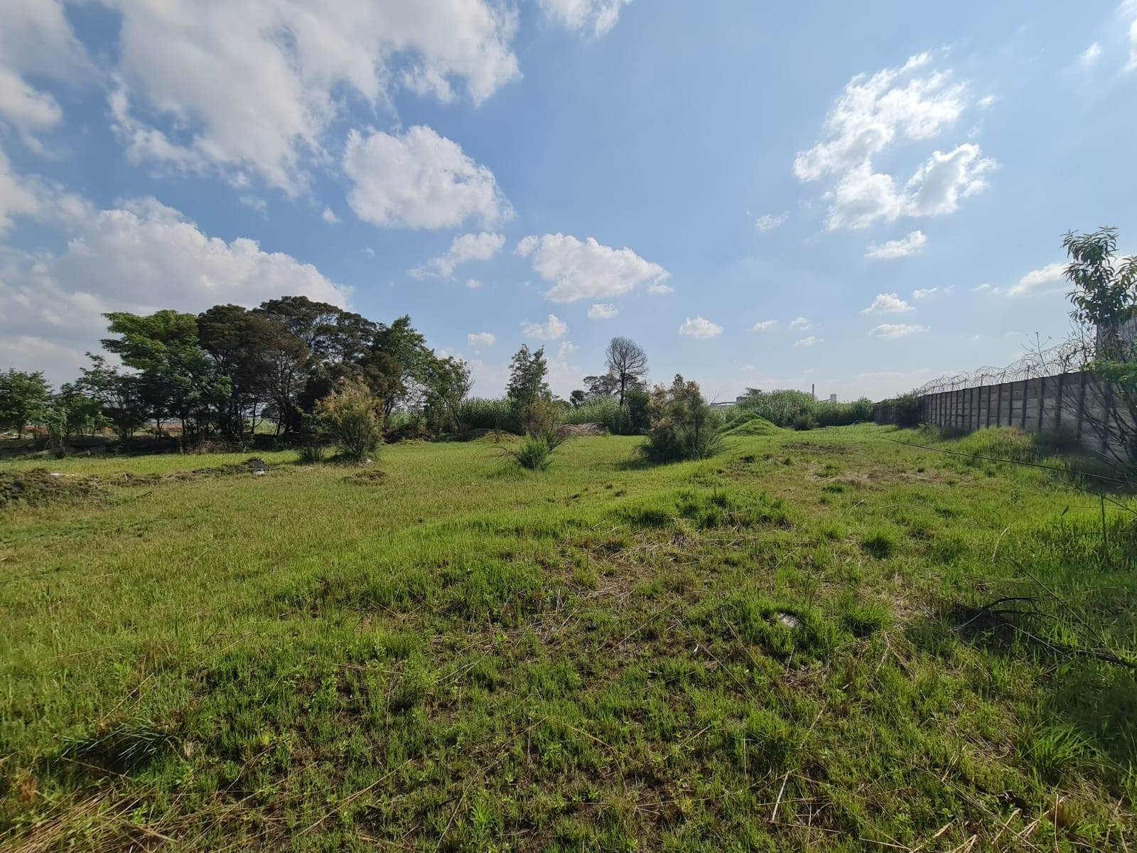 9.8 ha Land available in Wadeville photo number 6