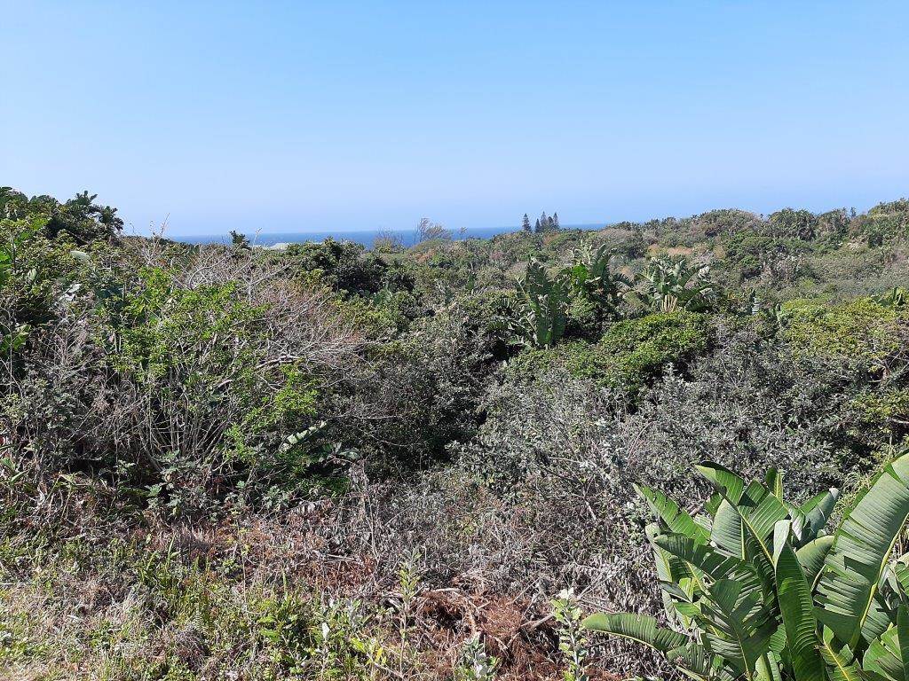 2179 m² Land available in Trafalgar photo number 5