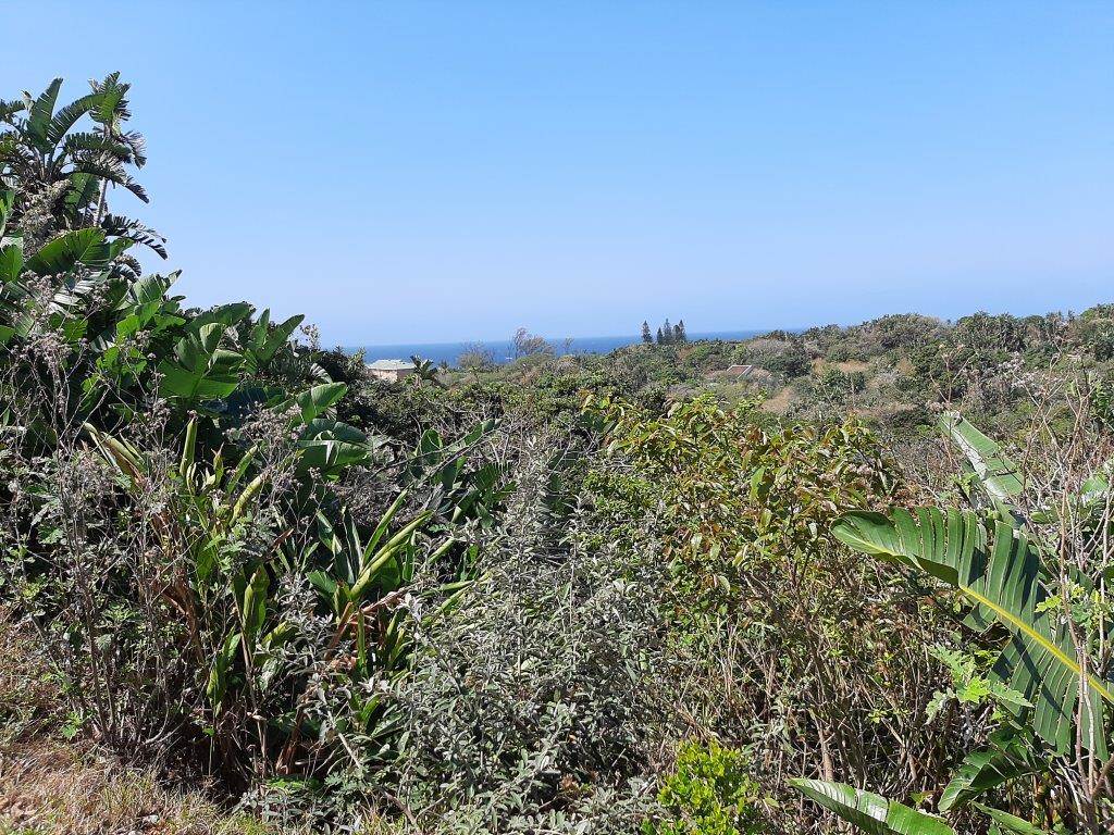 2179 m² Land available in Trafalgar photo number 1