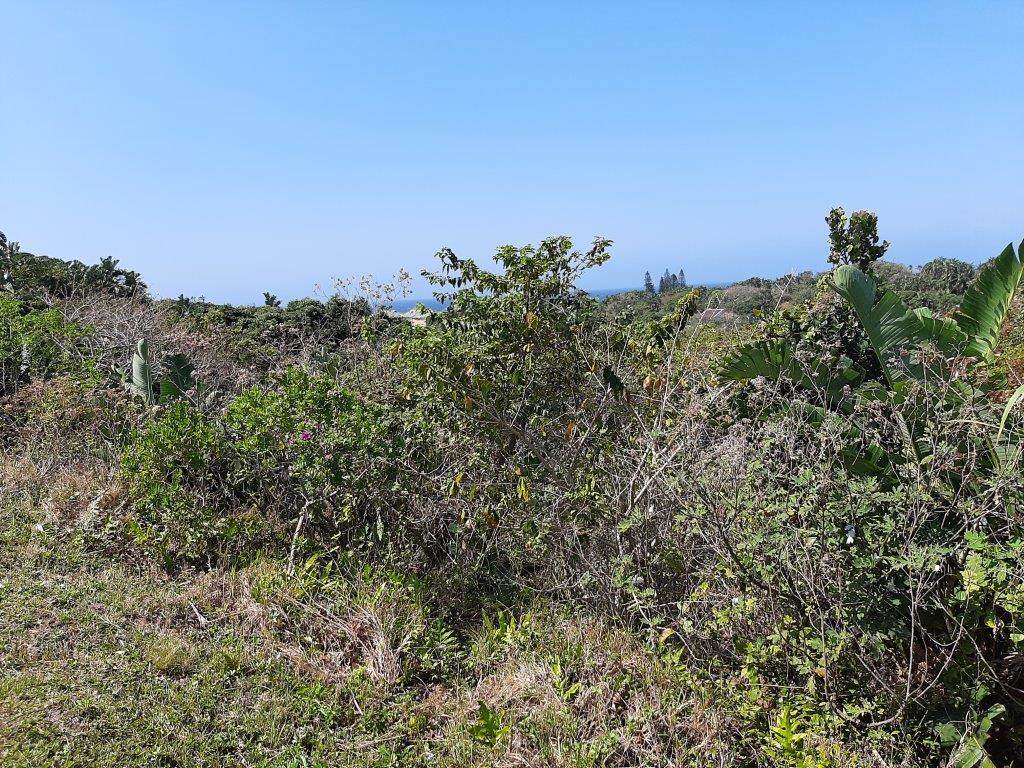 2179 m² Land available in Trafalgar photo number 6