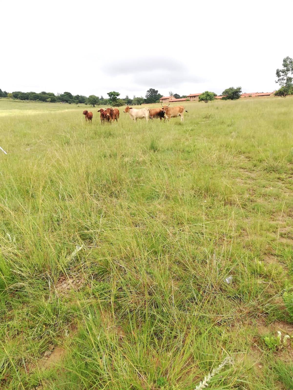 3.5 ha Land available in North Riding AH photo number 4