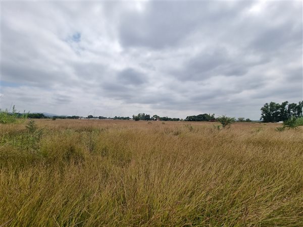 8.3 ha Land available in Waterval East